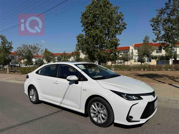 Toyota for sale in Iraq